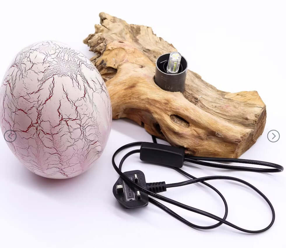 Driftwood glow lamp featuring a crackle fire egg design and natural driftwood base for home decor.